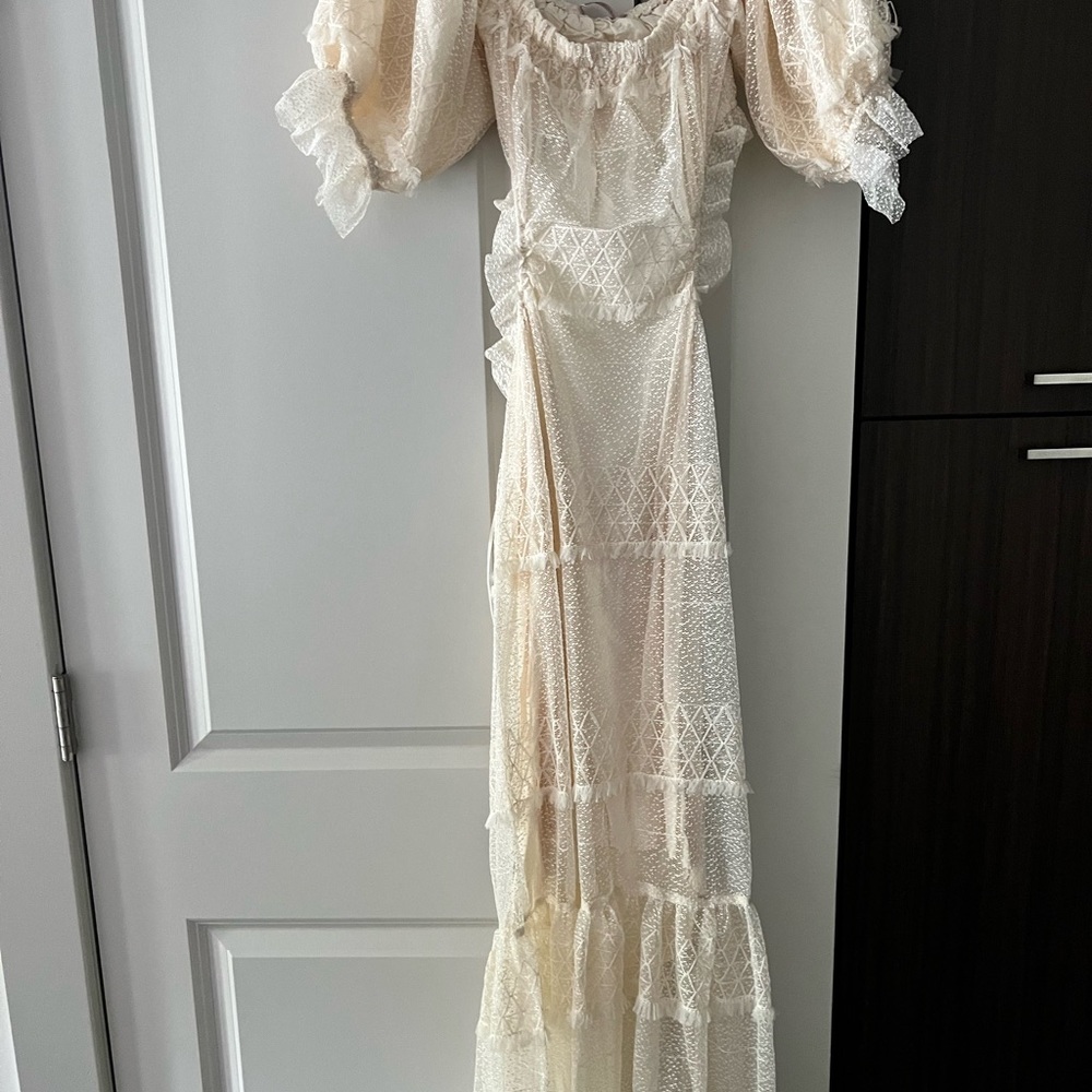 Brand new lace nude dress WITH TAGS - Picture 3 of 4